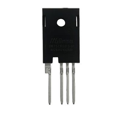 GM75C65IFSIG1 